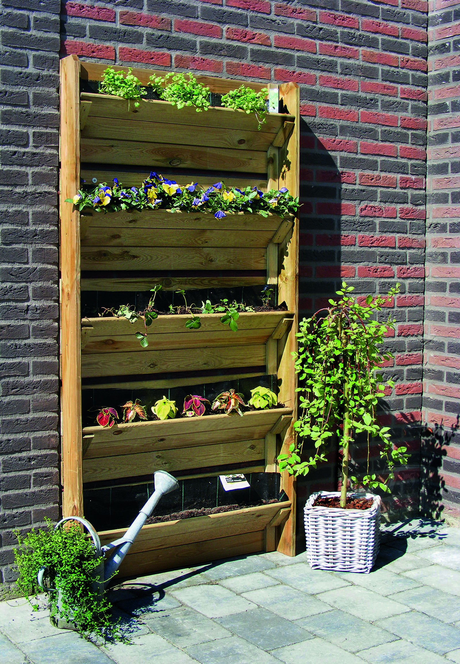 Truhlík Moestuin