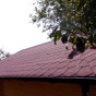 Bardoline CLASSIC - bobrovka