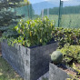 FLEXI ELEMENT vyvýšený záhon  75 x 150 cm