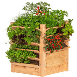 Patrový truhlík záhon Herb