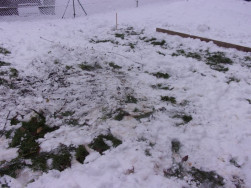 I v napadaném sněhu dokážeme vytýčit základ pod chatu