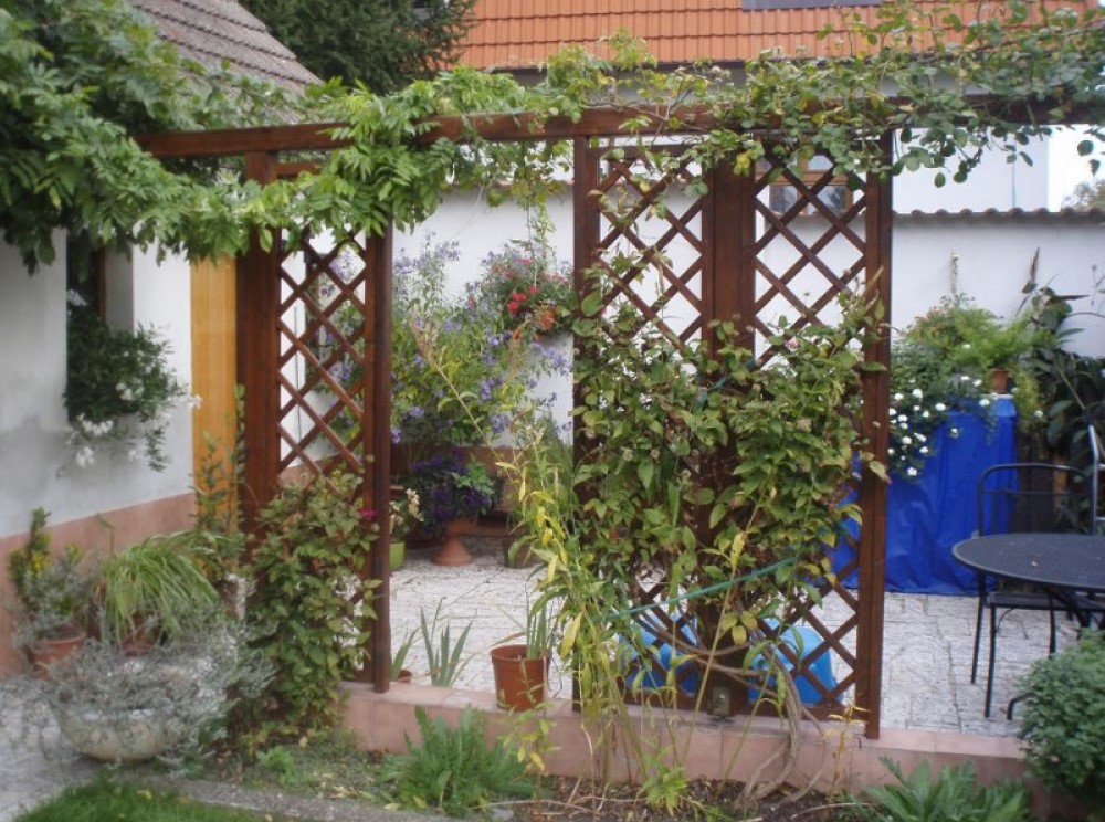 dřevěná mříž Pergola