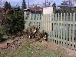 Odstranění starých stromů na některých místech zahrady.