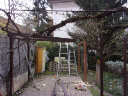 Pergola byla vyměňována po částech, aby pořád mohla podpírat vzrostlou vistárii