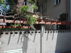 Dřevěná pergola byla vyrobena ze smrkových hranolů