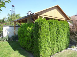 Zahradní pergola byla postavena ke vzrostlým tújím, které zajistí soukromí uvnitř
