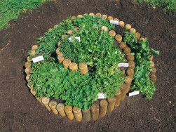 Z&aacute;hon z nepůlen&yacute;ch palis&aacute;d os&aacute;zen&yacute; bylinkami vypad&aacute; kouzelně