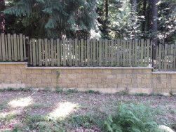 Star&yacute; dřevěn&yacute; plot v lesn&iacute;m prostřed&iacute;, kde je vět&scaron;inou tma a vlhko nen&iacute; dobr&aacute; volba