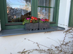 Tyto truhl&iacute;ky Flexi Element majitel zapomněl podložit miskou. Věř&iacute;me, že to dodatečně doladil :-))