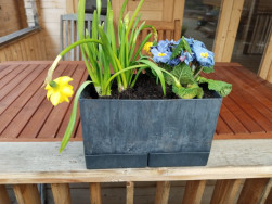 Flexi Element s narciskou a petrkl&iacute;čem