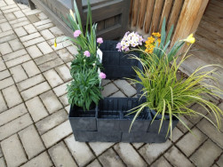 Stavba n&iacute;zk&eacute;ho obd&eacute;ln&iacute;ku ze dvou prov&aacute;zan&yacute;ch řad kostek Flexi