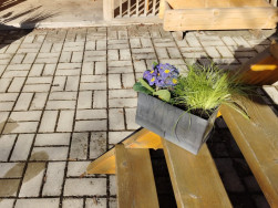 Do plastov&eacute;ho truhl&iacute;ku Flexi lze zasadit i ozdobnou tr&aacute;vu