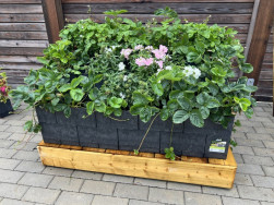 Takto vypad&aacute; již del&scaron;&iacute; dobu os&aacute;zen&yacute; vyv&yacute;&scaron;en&yacute; z&aacute;hon