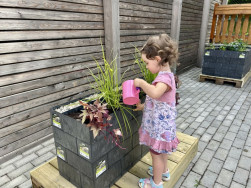 Starost o bylinky nebo zeleninu můžete přenechat sv&yacute;m dětem