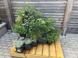 Truhl&iacute;ky Flexi sestaven&eacute; do pyramidy a os&aacute;zen&eacute; bylinkami, to je něco pro kuchařky a hospodyňky