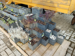 Když nev&iacute;te co, do někter&yacute;ch Flexi truhl&iacute;ků nasypejte pouze b&iacute;l&eacute; obl&aacute;zky