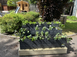 Do truhl&iacute;ků Flexi Element lze zasadit i st&aacute;le plod&iacute;c&iacute; jahody, ty udělaj&iacute; radost hlavně dětem