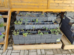 Kask&aacute;dou z truhl&iacute;ků Flexi Element lze vyplnit i prostor pod maringotkou