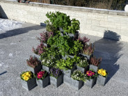 pyramida-z-kasko-kostek